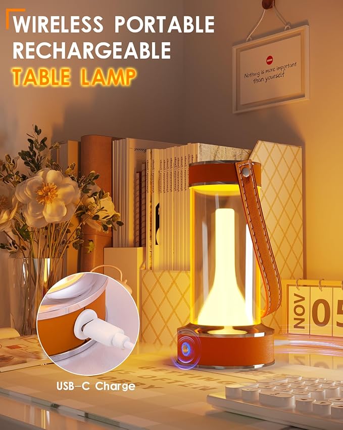 ROSHWEY Rechargeable Table Lamp, Portable Camping Lantern Dimmable Small Nightlight for Indoor Outdoor, Home Emergencey and Outages Lights, Orange Handle