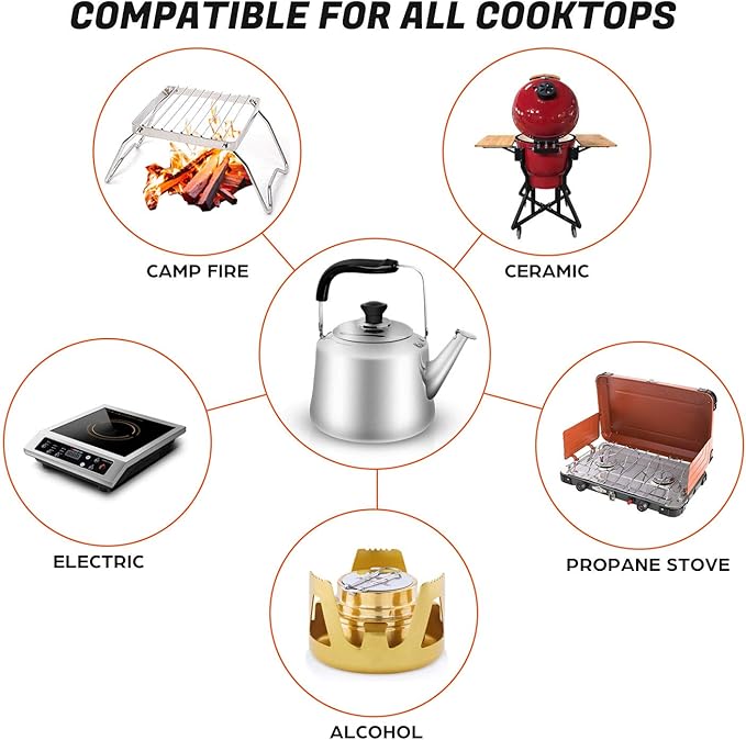 Odoland 4L Camping Kettle Set with 4 Cups, Durable Stainless Steel Camp Tea Coffee Water Pot with 4 Mugs for Hiking, Backpacking, Outdoor Camping and Picnic, Carrying Bag Included