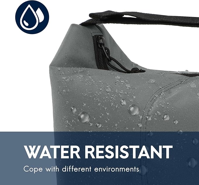 Haimont Lunch Tote Insulated Cooler Bags, Small Leakproof Lunchbox with Handle Buckle, Practical Food Medicine Meal Cooler, Keep Food Fresh, Grey