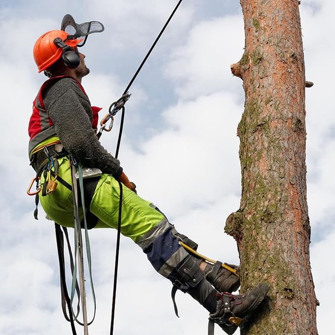 Double Braided Arborist Rope - 1/2 Inch x 150 Feet Polyester High Strength Climbing Rope for Tree Work, Swing, Halyard, Sailing(Black/Green/Orange)