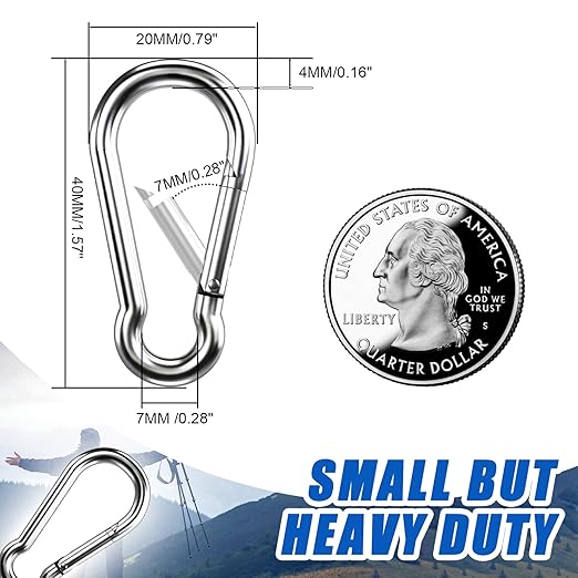 Small Carabiner Clip Hooks, 10pcs 1.57 inch Carabiners Heavy Duty, 304 Stainless Steel Spring Snap Hook Fits Camping Hiking, Metal Clips for Rope Chain Keys Rings