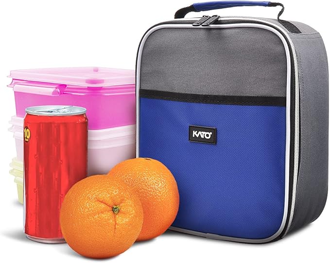 Insulated Lunch Box for Men Women, Portable Thermal Small Lunch Bag for Office Work Picnic, Reusable Compact Lunchbox Cooler Tote for Adults,Blue