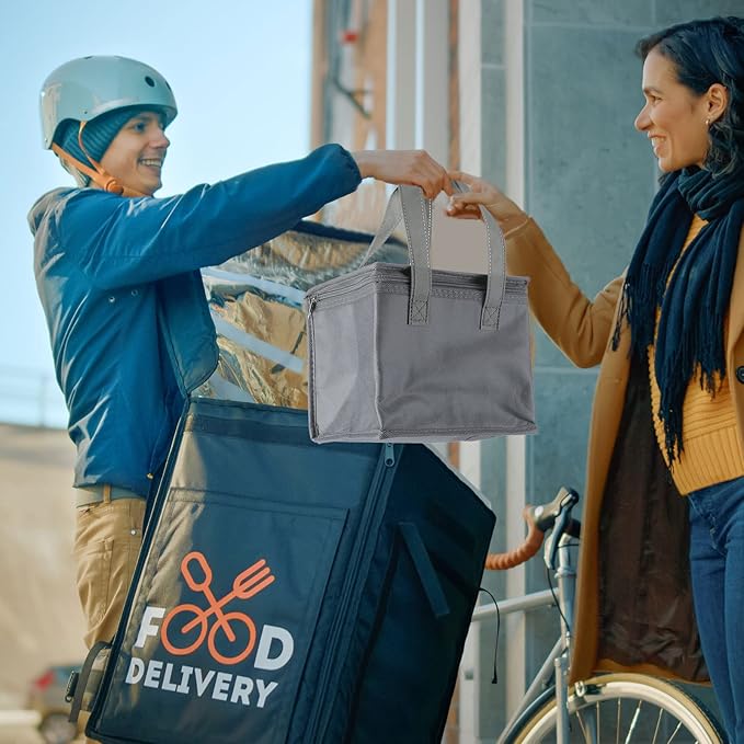 Lallisa 24 Pack Insulated Lunch Bags Bulk Reusable Leakproof Waterproof Thermal Cooler Bags Insulated Beverage Box for Office Picnic Snack Women Men(Black, Red, Blue, Gray, Green, Yellow)