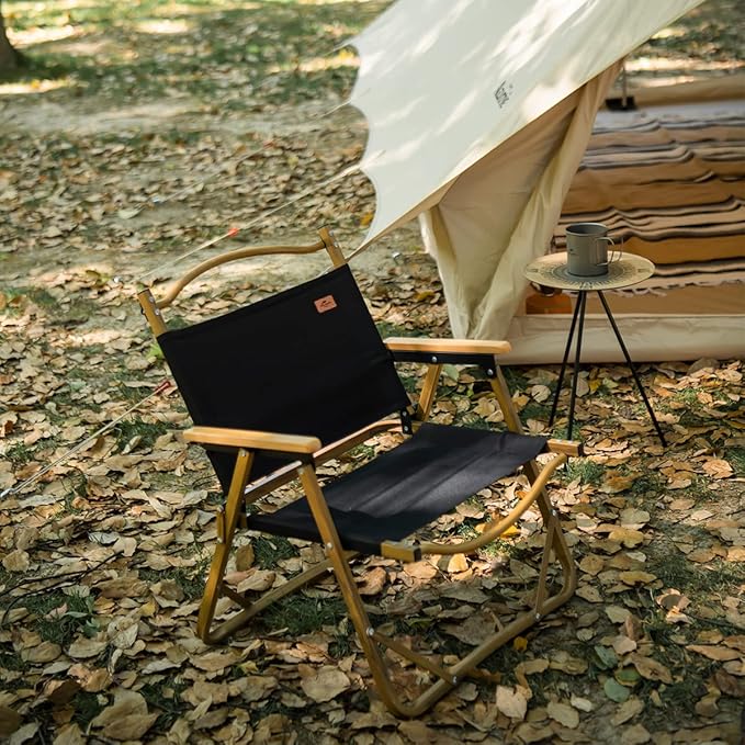 Naturehike MW02 Foldable Chair - Outdoor Furniture Kermit Aluminum Portable Folding Chair Great for Camping Picnic Park (Black, Regular)