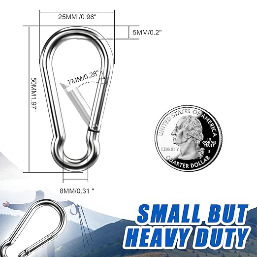 Small Carabiner Clip Hooks, 10pcs 1.97 inch Carabiners Heavy Duty, 304 Stainless Steel Spring Snap Hook Fits Camping Hiking, Metal Clips for Rope Chain Keys Rings