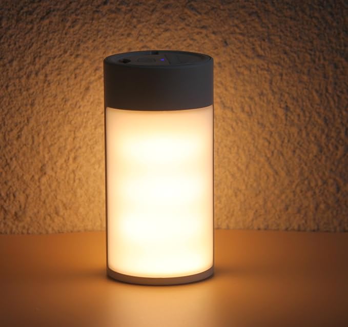 Survival Camping Lantern, Rechargeable LED Camping Lantern,62LEDs,3 Modes & SOS, Rechargeable for 4hrs, Small & Light, Emergency Light for Blackout, Hurricane Hiking Light(White)