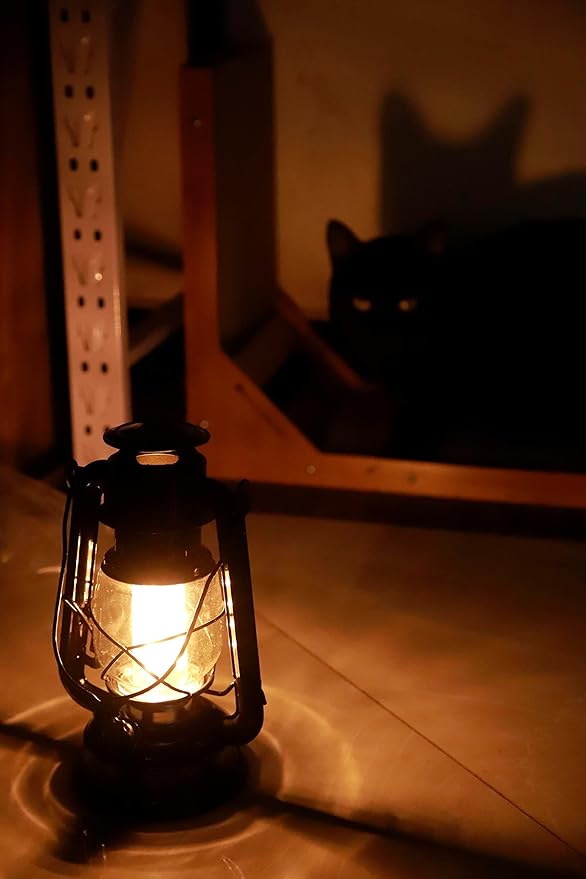 YAKii LED Vintage Metal Hanging Hurricane Lantern - 12 LED Dimmer Switch, Warm White Battery Operated Lantern for Power Outage, Indoor Camping, Outdoor Decoration (Black)