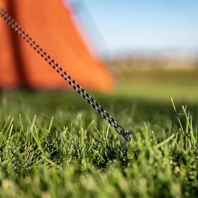 Reginary 24 Pcs Ground Anchors Screw in Tent Stakes Heavy Duty Trampoline Anchors High Wind for Camping Canopy Carport Sheds Beach Sand Stakes Metal Swing Set (Black)