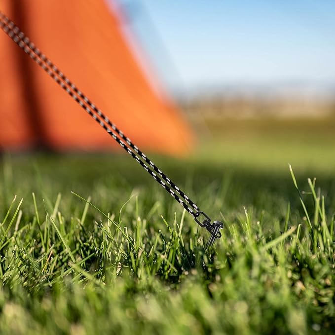 Reginary 12 Pcs Ground Anchors Screw in Tent Stakes Heavy Duty Trampoline Anchors High Wind for Camping Canopy Carport Sheds Beach Sand Stakes Metal Swing Set (Black)