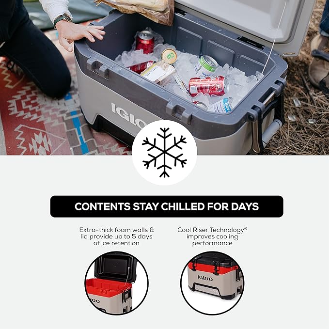 Igloo BMX Hard Coolers (25-72QT)
