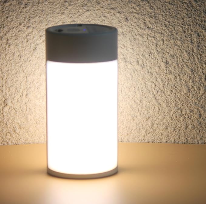 Survival Camping Lantern, Rechargeable LED Camping Lantern,62LEDs,3 Modes & SOS, Rechargeable for 4hrs, Small & Light, Emergency Light for Blackout, Hurricane Hiking Light(White)