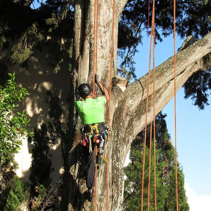 1/2inch Arborist Rope Tree Climbing Rope 48 Strand（200ft） Polyester Bull Rope for Swing Pulling Outdoor Marine