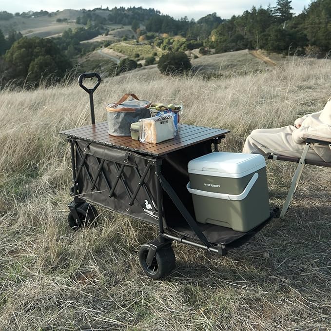 Whitsunday Collapsible Wagon with Tailgate and Big Wheel,Heavy Duty Utility Folding Wagons for Beach Camping Outdoor Black