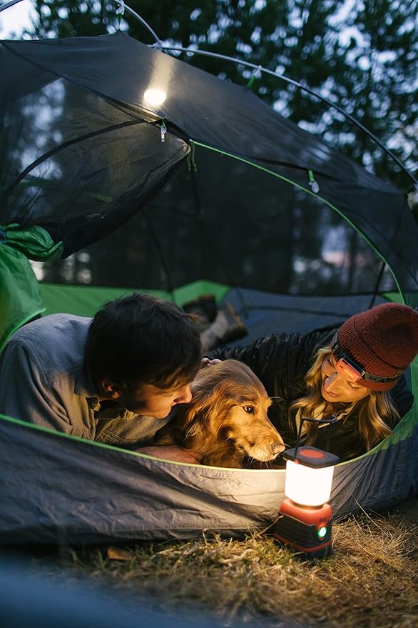 S.O.L. Survive Outdoors Longer Camp Lantern 3D