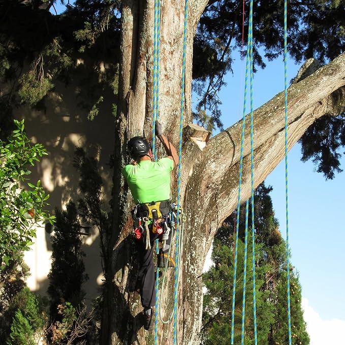 1/2inch Arborist Rope Tree Climbing Rope 48 Strand（200ft） Polyester Bull Rope for Swing Pulling Outdoor Marine