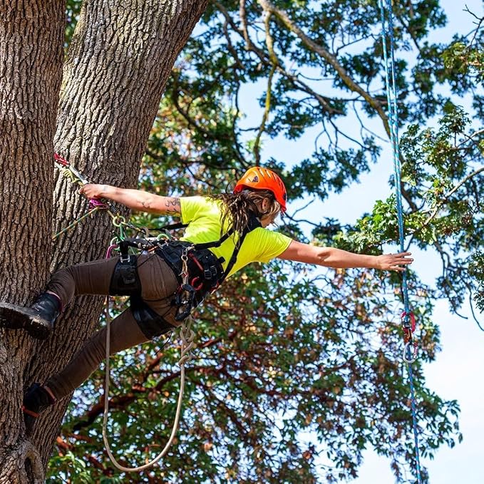 Braided Arborist Rope - 3/8 Inch x 100 Feet Polyester High Strength Climbing Rope for Tree Work, Halyard, Sailing (Orange)