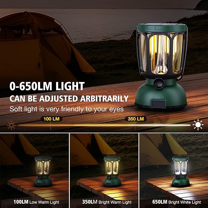 Raynic 6000 LED Camping Lantern, 650LM Hand Crank Solar Battery Powered Rechargeable Lantern, Emergency Lights for Home Power Failure, Hurricane, USB Cable Included