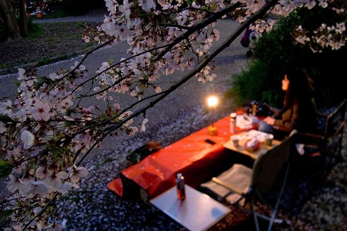 CAMPINGMOON 4.7-inch/9-inch Length Extension Pole Rod for Camping Lantern