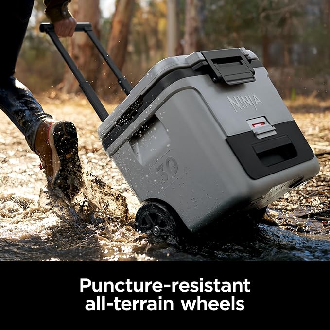 Ninja | Cooler | FrostVault 30QT Cooler with Wheels | Insulated with Temp Dry Storage Drawer | Keeps Ice Cold for Days | for The Beach, Camping, Picnics & More | Charcoal Gray | FB230CG