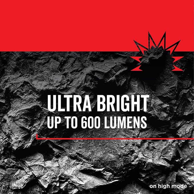 Rayovac - DIYLN3D-BA Virtually Indestructible LED Camping Lantern Flashlight, 600 Lumens Battery Powered LED Lanterns for Hurricane Supplies, Survival Kit, Camping Accessories, IP67 Waterproof