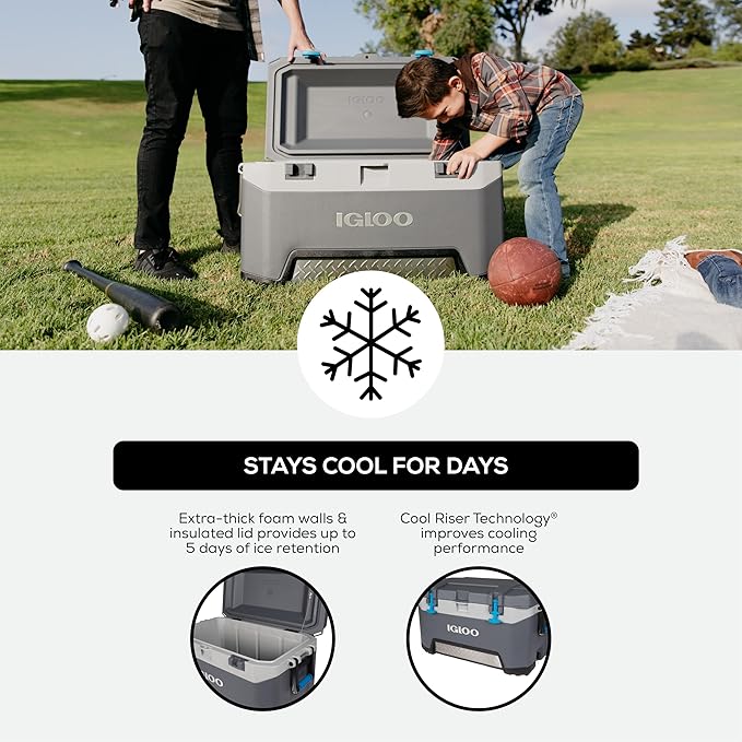 Igloo BMX Hard Coolers (25-72QT)