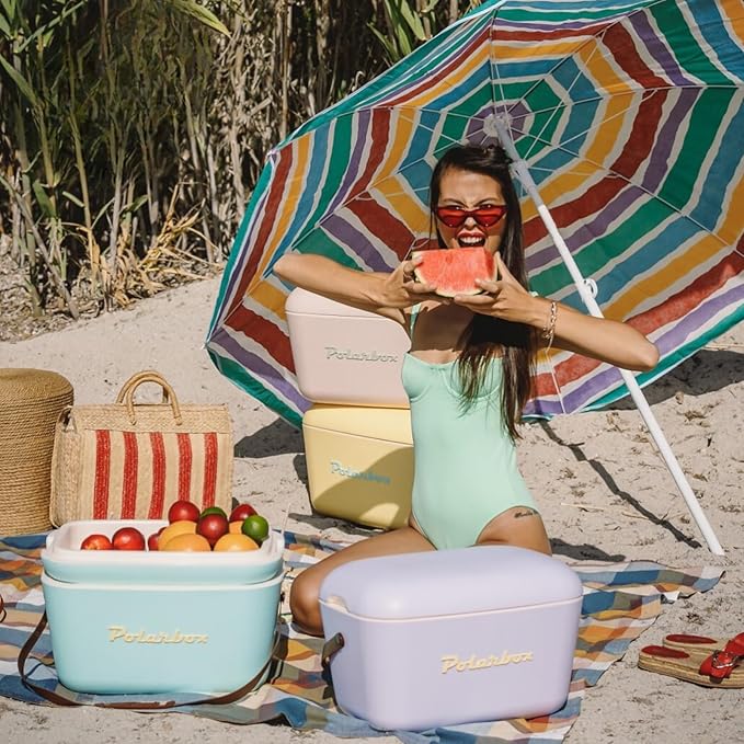 Retro Beach Cooler Vintage Picnic Lunch Box Bag Portable Cooler Travel Camping Hiking 90s Style Ice Chest