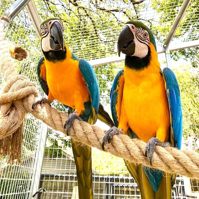 1 Inch Natural Jute Rope, 10 Feet Thick Hemp Rope, 4 Strands Twisted Manila for Crafts, Docks, Nautical, Raliings, Decorating, Indoor/Outdoor Use