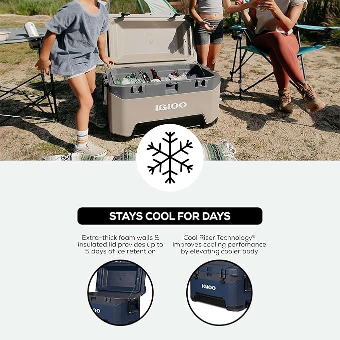 Igloo BMX Hard Coolers (25-72QT)