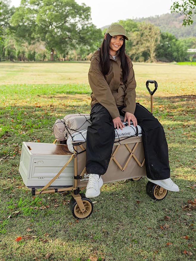 Whitsunday Collapsible Folding Wagon Heavy Duty Utility Beach Wagons with Opened Tailgate and All-Terrain Wheels for Camping,Garden,Sports Grey